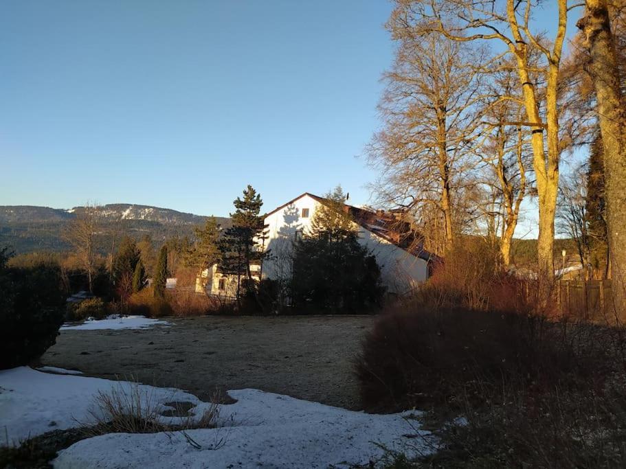 Apartamento Apratman Julie - Bavorska Ruda Bayerisch Eisenstein Exterior foto