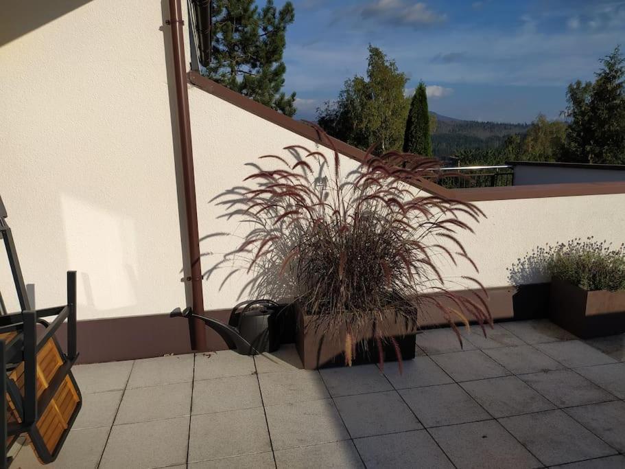 Apartamento Apratman Julie - Bavorska Ruda Bayerisch Eisenstein Exterior foto